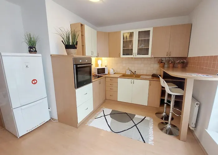 Castle With Terrace Self-check-in